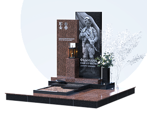 Памятники участникам СВО и боевых действий в Рязани